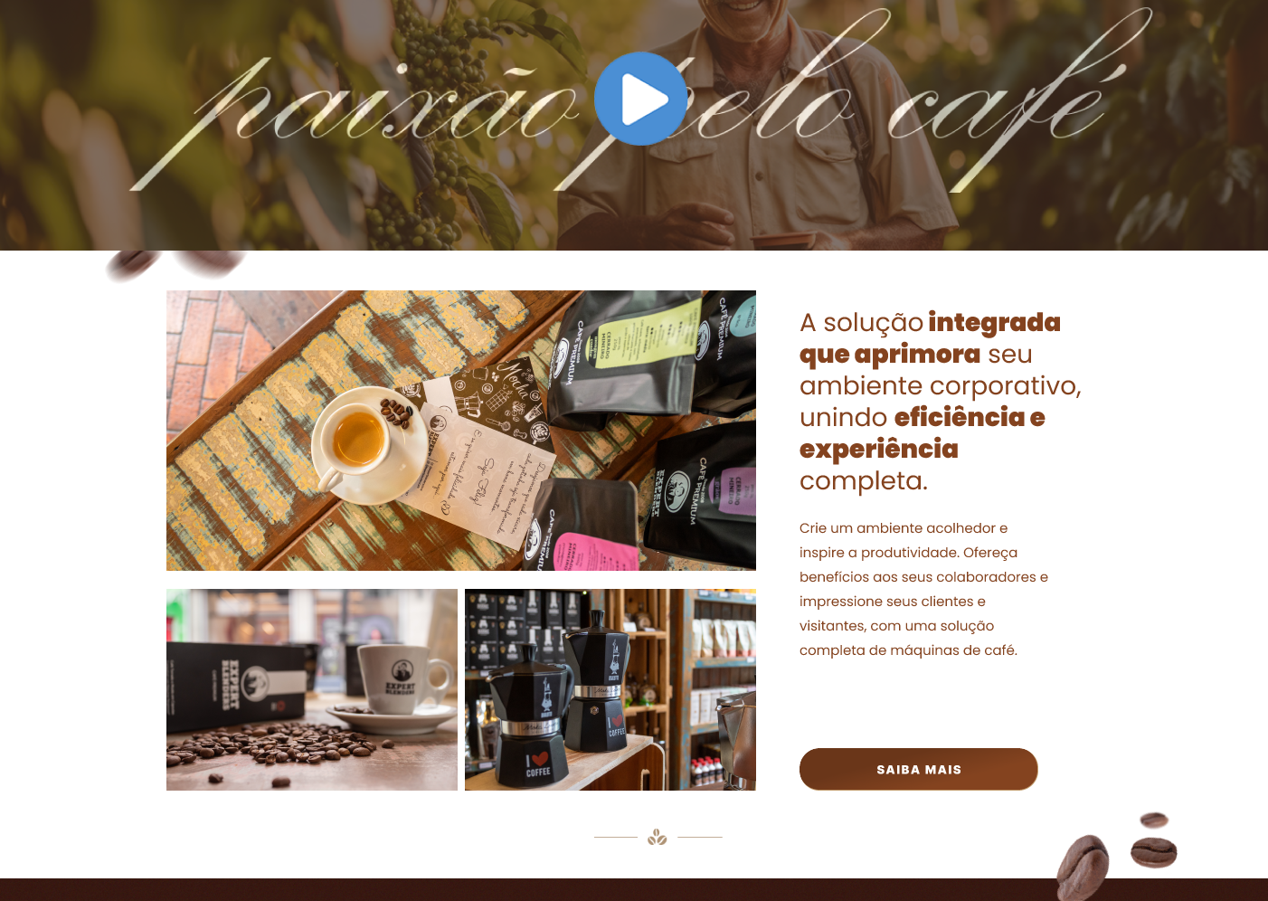 Websites e Campanhas