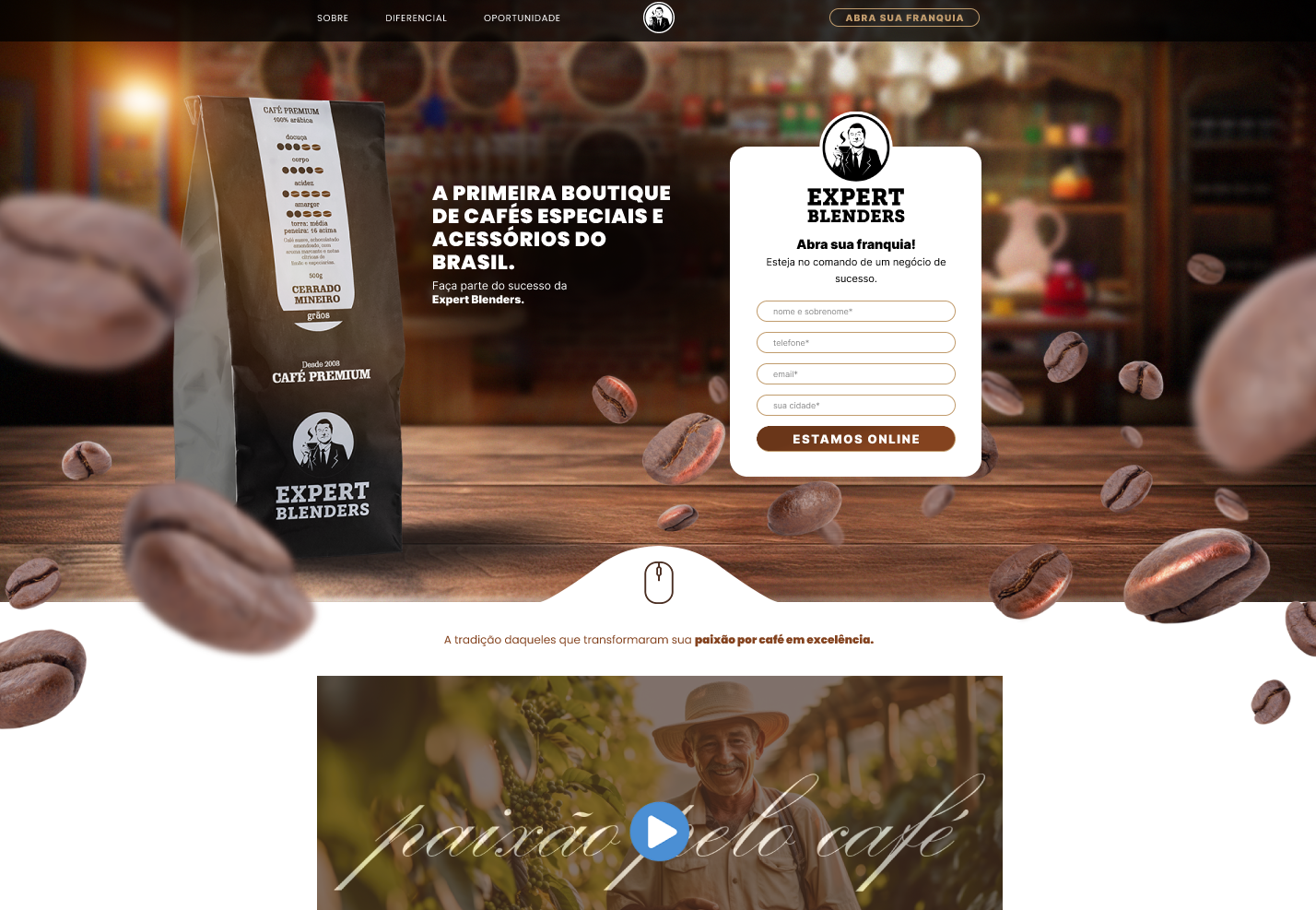 Websites e Campanhas